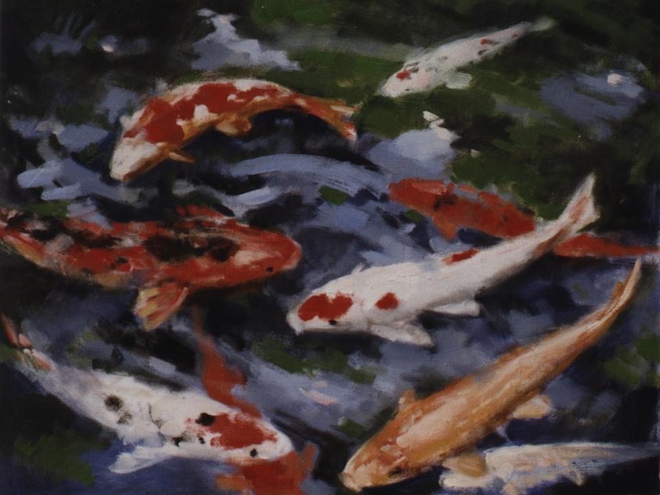 Koi carps (73K)
