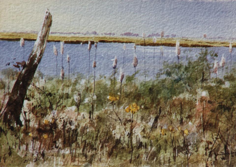 Long Island Marsh (109K)