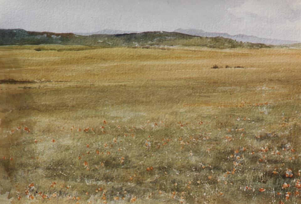 Poppies at Antelope Valley (94K)