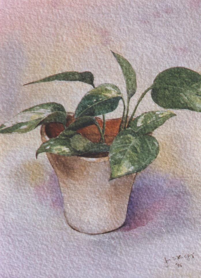 Green leaves in white vase (91K)