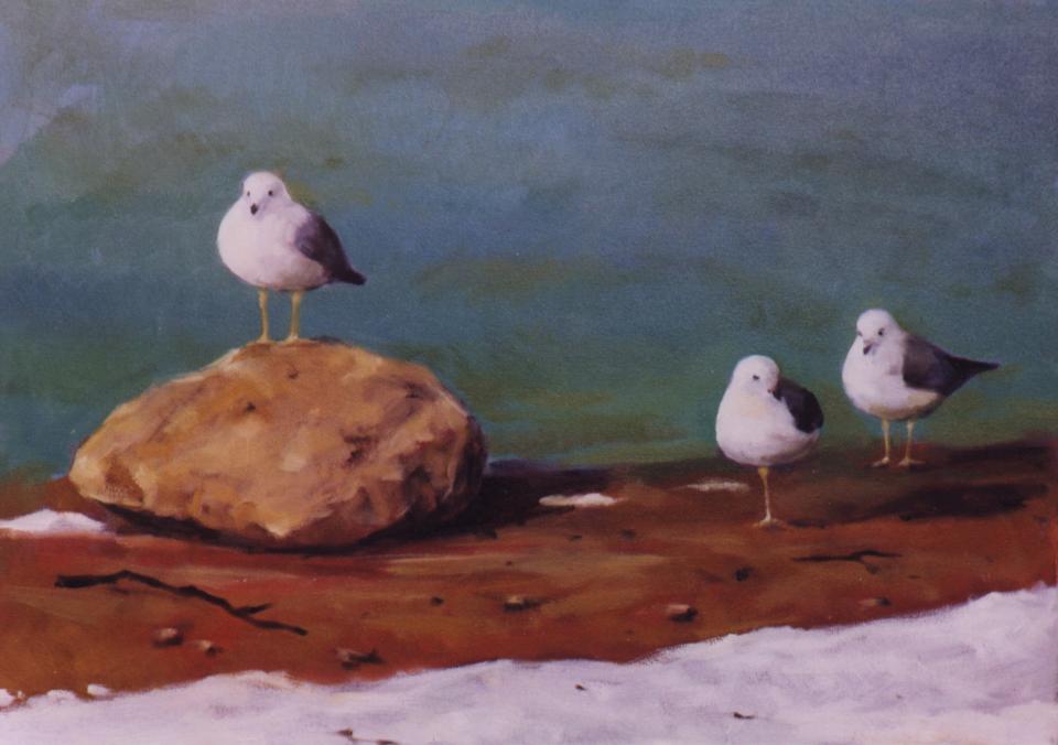 Seagulls (59K)