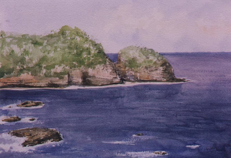 Hawaiian cliff (80K)