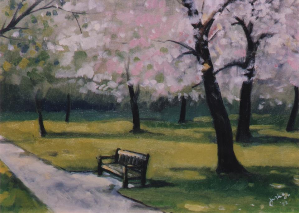 Bench at park (80K)