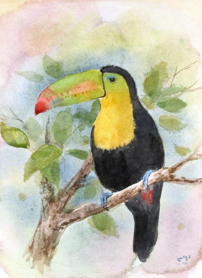 Toucan (96K)