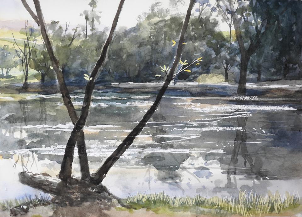 Ed Levin Park (122K)