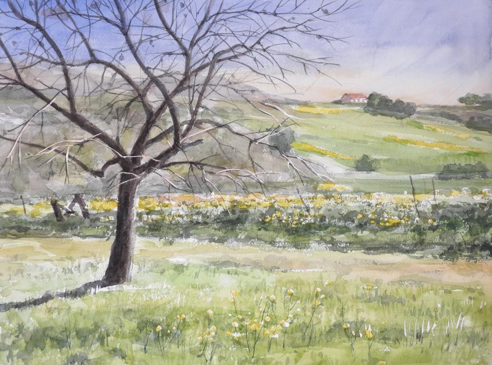 Spring at Park (131K)