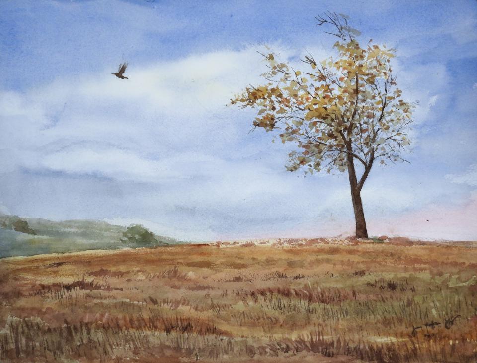 Long Tree on Hill (95K)