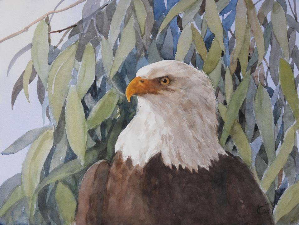 Bald Eagle (94K)