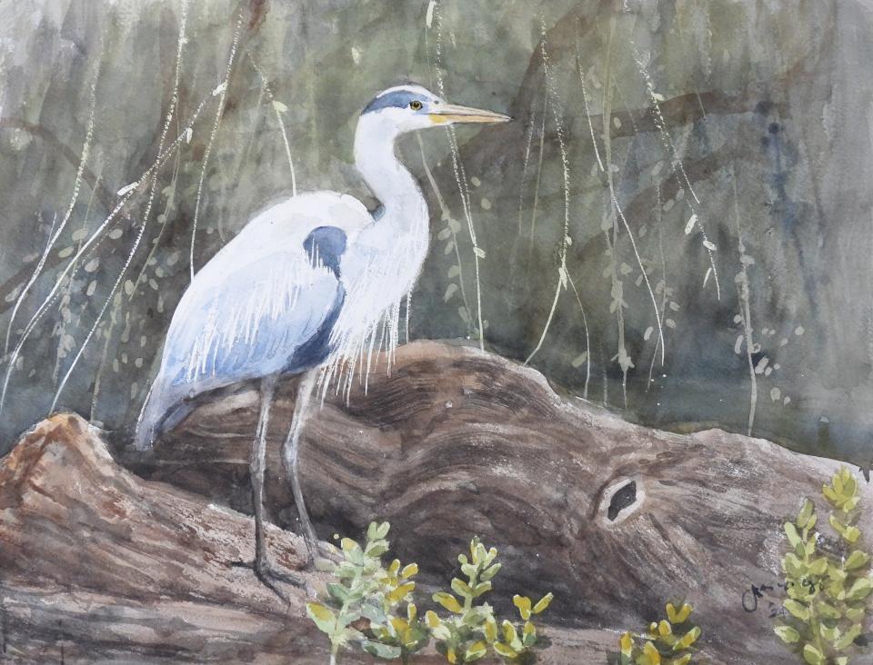 Great Blue Heron (118K)