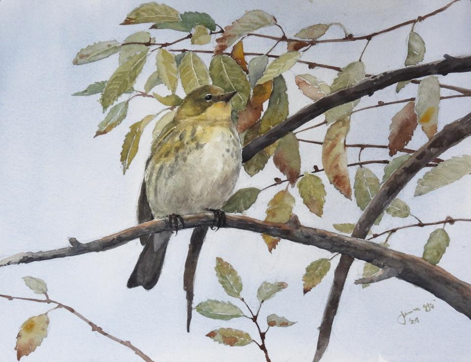 Little Yellow Bird (98K)