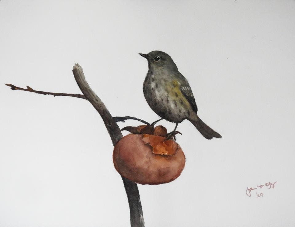 Bird and Persimmon (34K)
