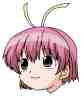 Kiku Hachigou