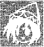 lily_black.py