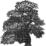 tree.c